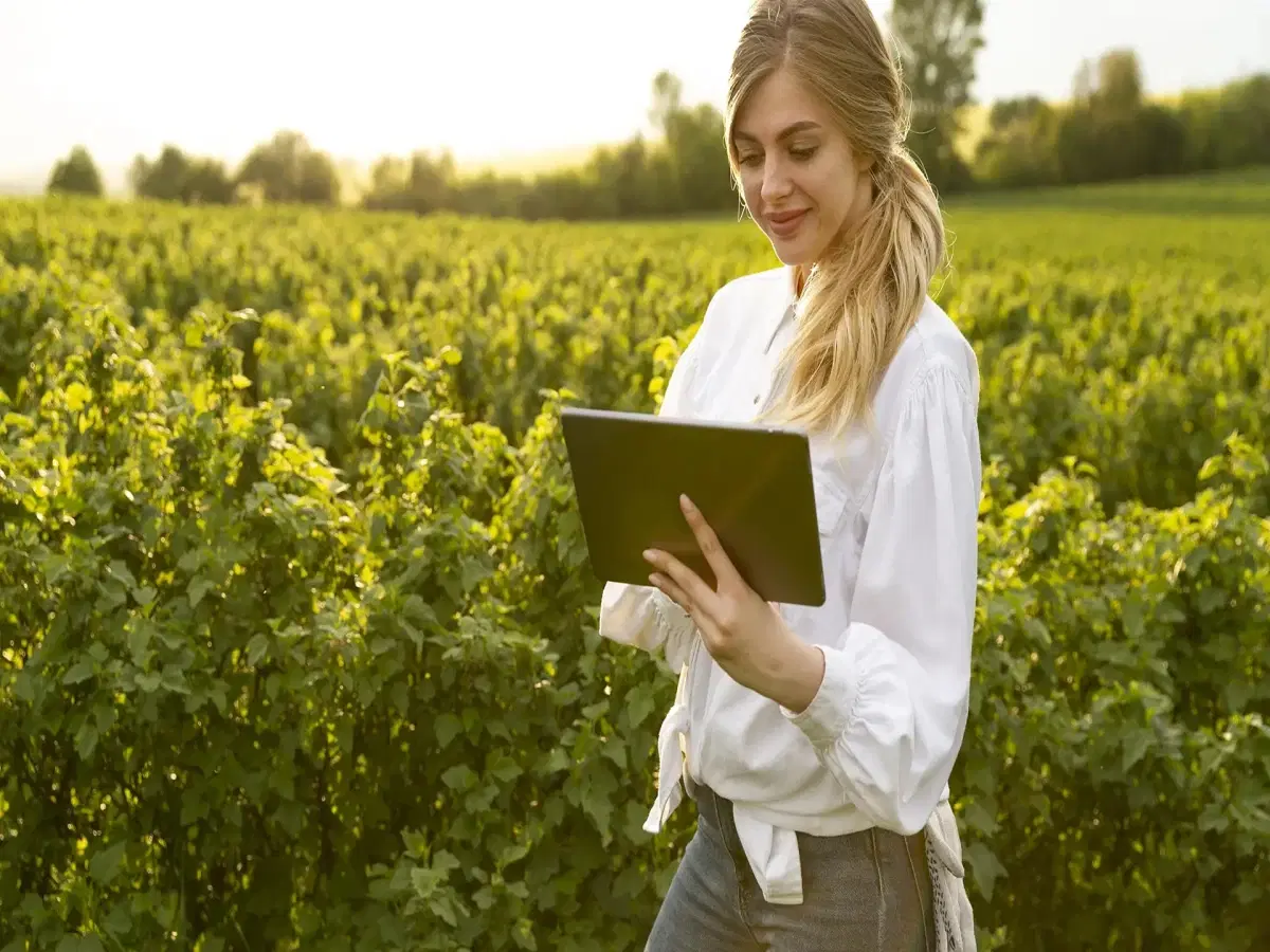 Introdução à Gestão do Agronegócio e suas Cadeias Produtivas