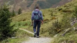 Metodologias Aplicadas à Educação Ambiental