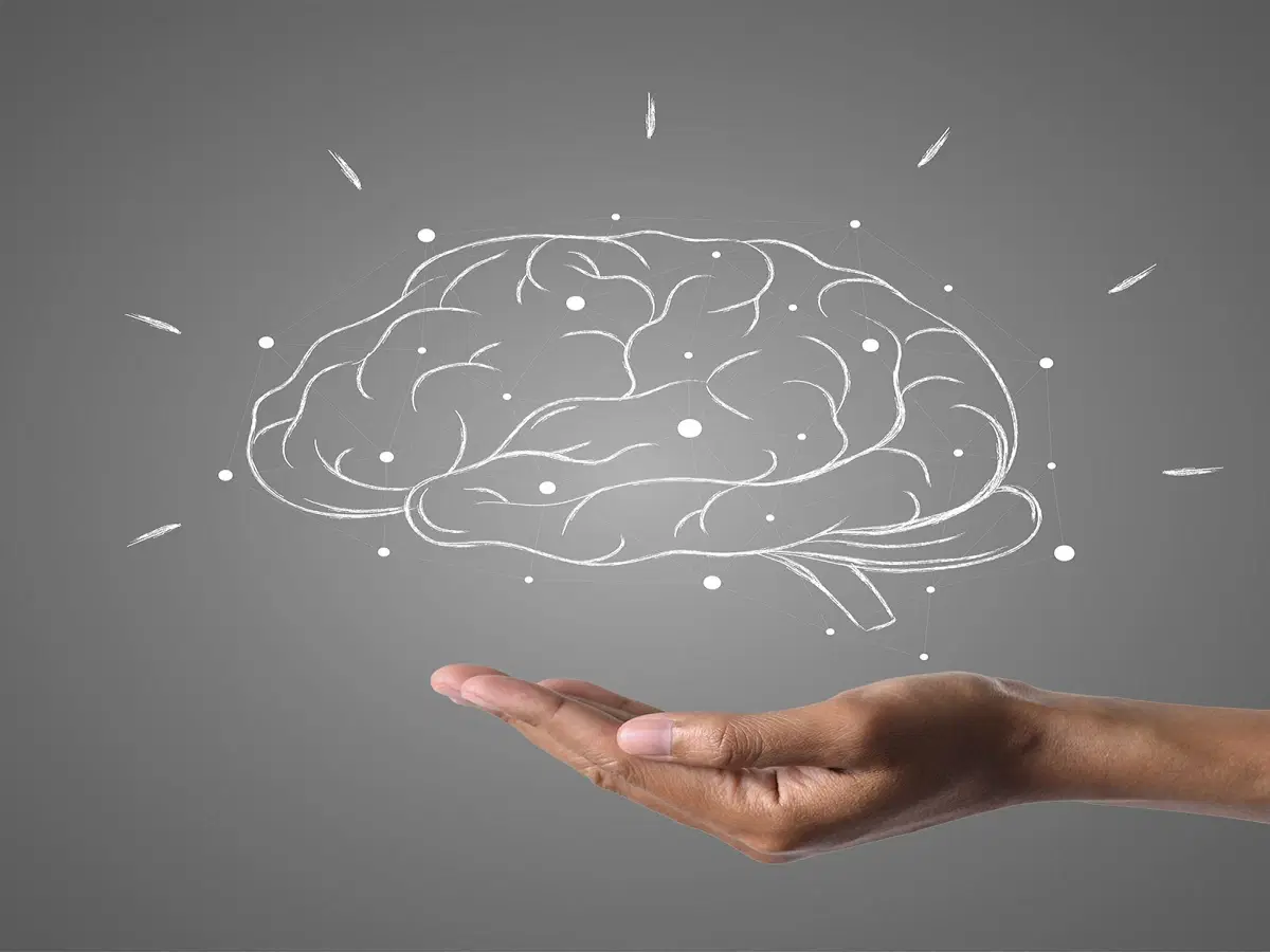 Neuroaprendizagem