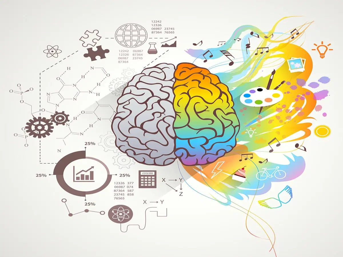 Neuroeducação: Neurociência e Educação