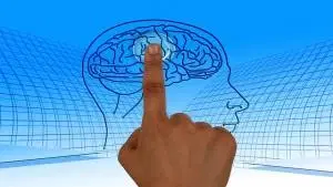 Neurofarmacologia