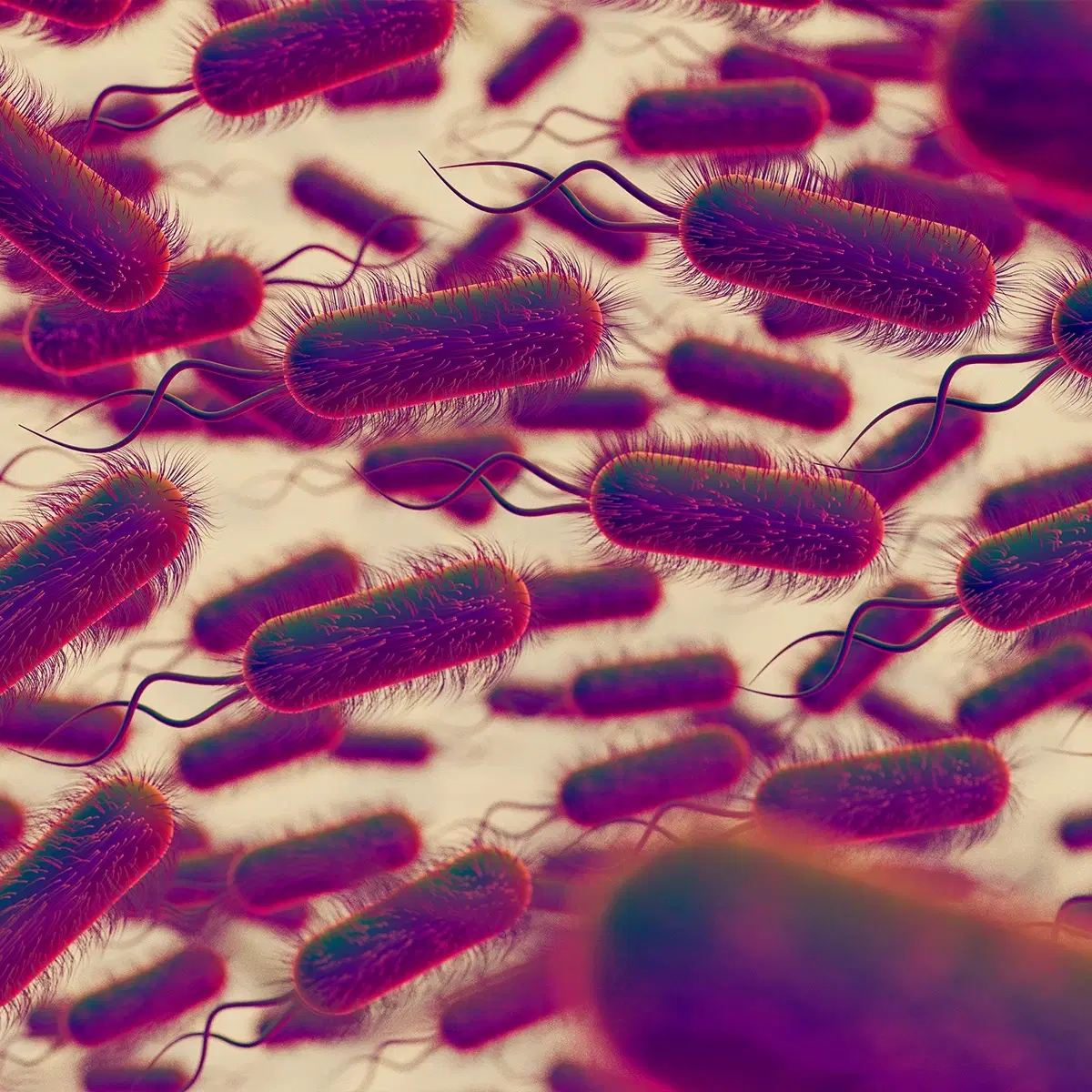 Parasitologia