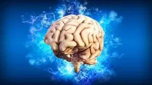 Psicobiologia