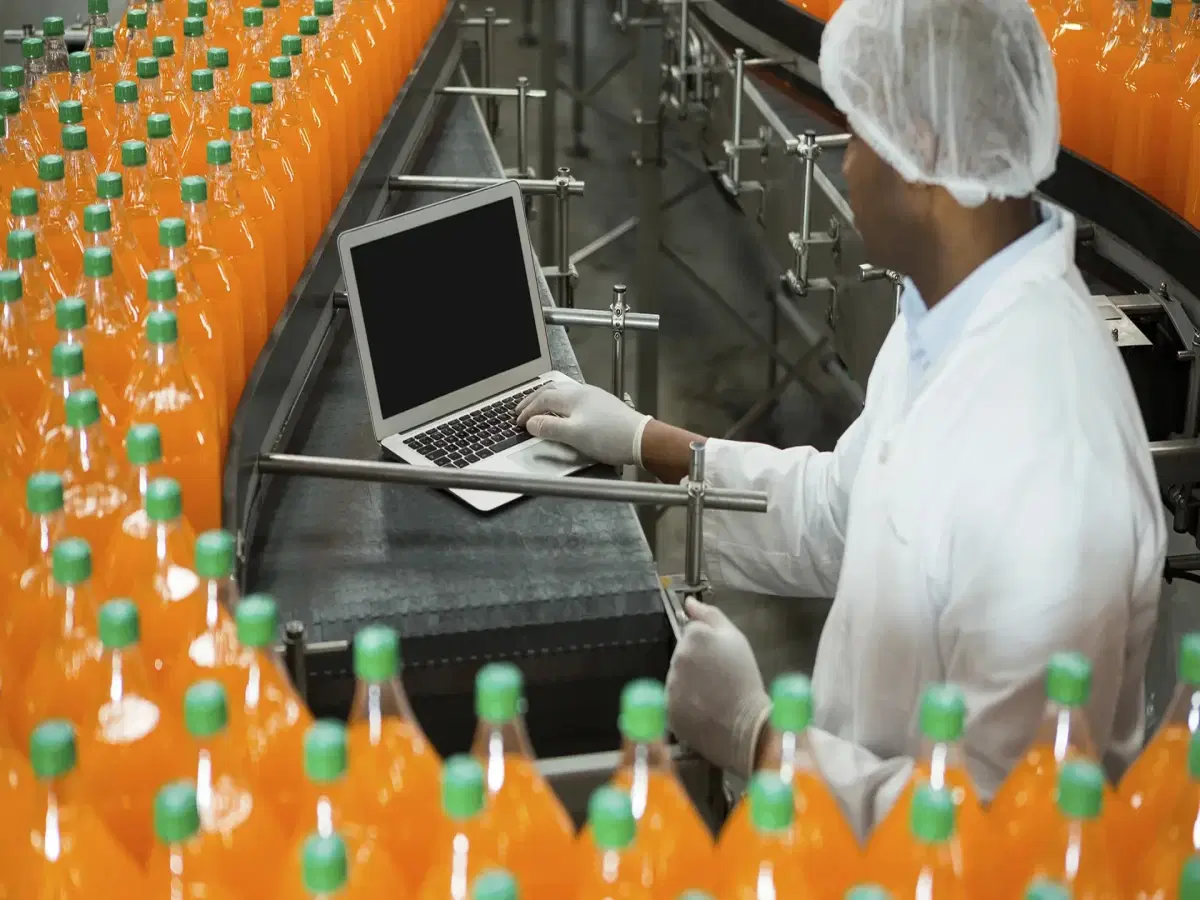 Sistemas de Produção